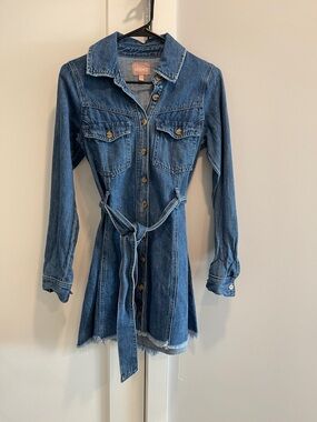 Show Me Your MuMu Denim Mini Shirt Dress in Blue